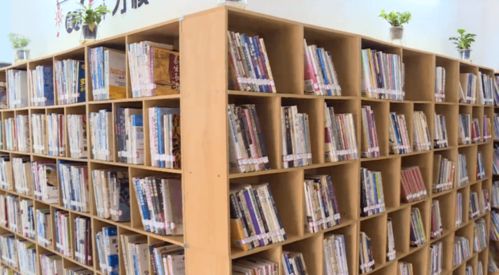 沙田图书分馆首个通借通还社区服务点正式启用